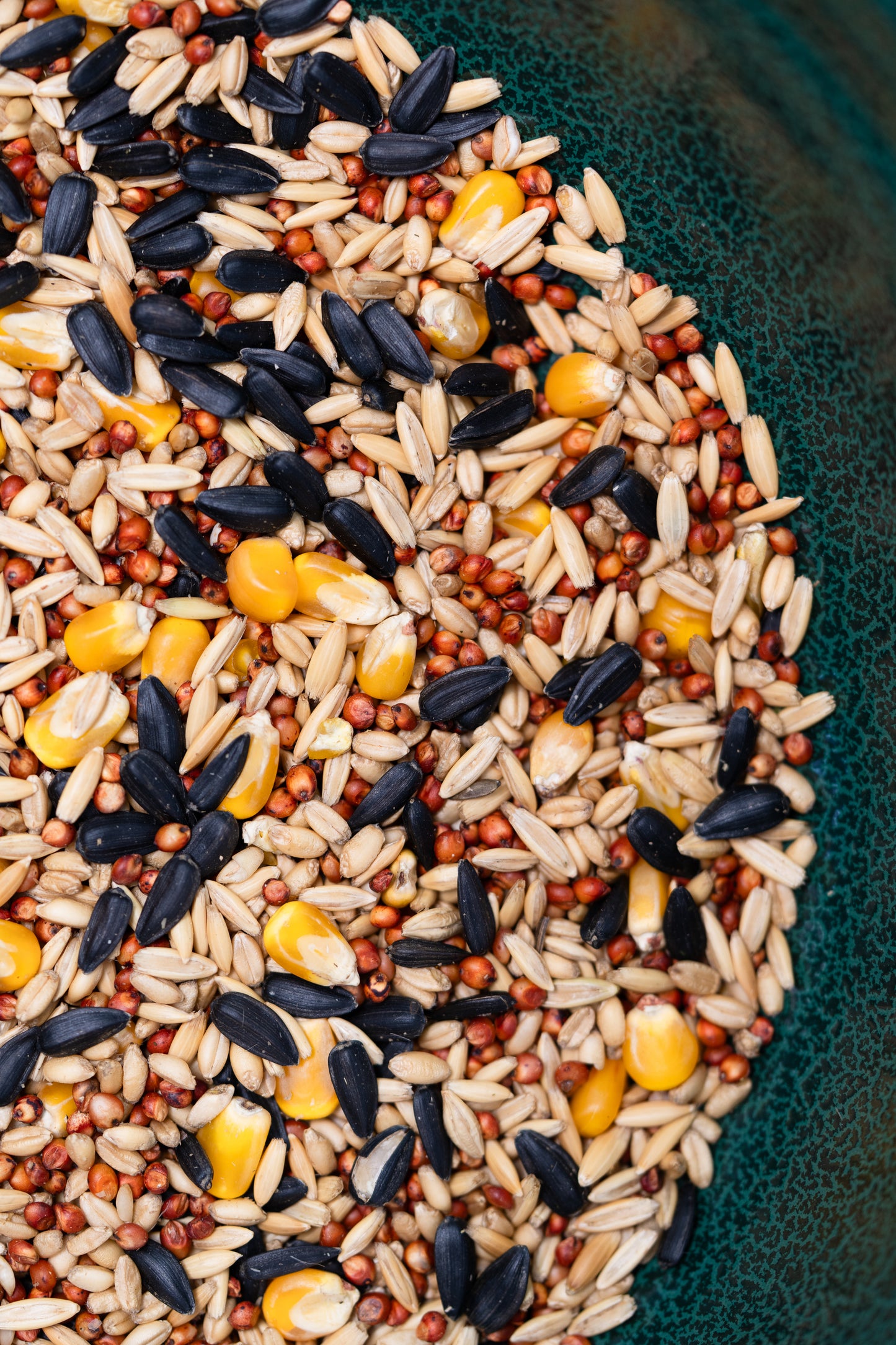 Metal Outdoor Hanging Bird Feeder