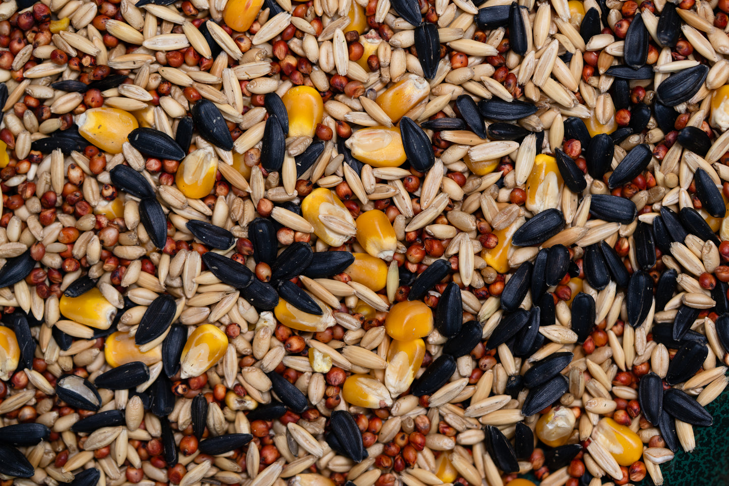 Wild Bird Seed Mix 1.5kg Jug